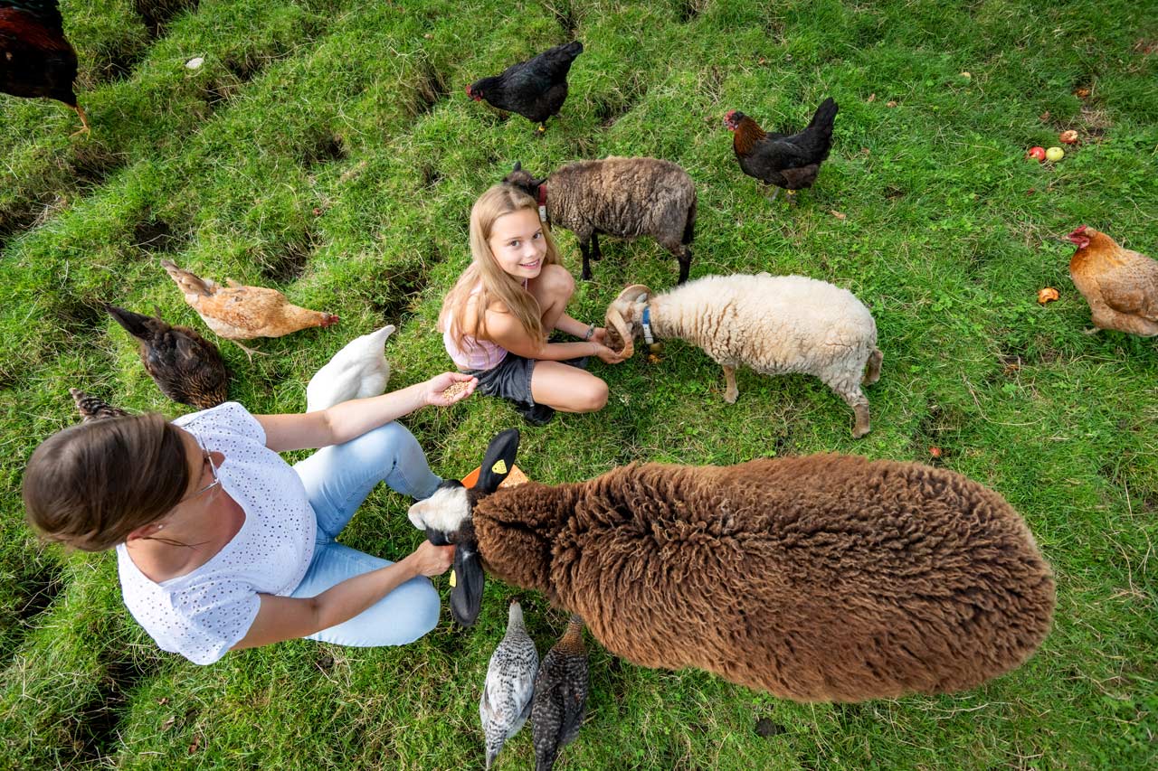 schleipfnerhof-tiere