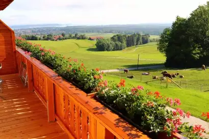 04c_schleipfnerhof_chiemsee_almwiese_balkon